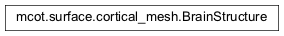 Inheritance diagram of mcot.surface.cortical_mesh.BrainStructure